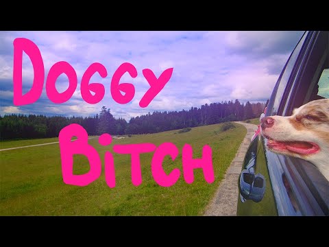 Brutus Yukus - DOGGY B*tch(official Clip) - YouTube