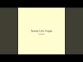 Serene Echo Fragile