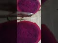 CUTTING DRAGON FRUIT #viral #shorts #trending #dragonfruit