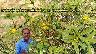 மஞ்சள் கரிசலாங்கண்ணி முழு விளக்கம் | Part - 1