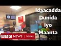 toos idaacadda subaxnimo ee bbc somali