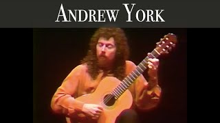 Andrew York - Waiting for Dawn