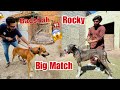 Hmary Bully Dog Rocky Ka Heavy Bully Dog Sy Challenge Match 😱