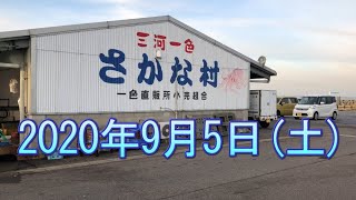 一色さかな村の風景　2020年9月5日（土）　朝4時～5時まで撮影　台風10号が心配でしたが天候に恵まれ快晴でした　ウスバハギが各店舗で販売されていました　天然トラフグの販売も少ないですが始まりました