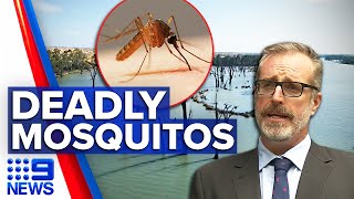 One dead, seven hospitalised after deadly mosquito virus in SA | 9 News Australia