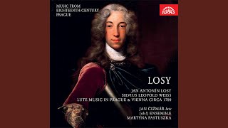 Losy: Partia in D minor - III. Aria I