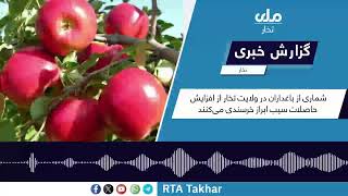 افزایش چشمگیر حاصلات سیب در تخار!