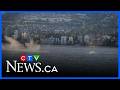 Jet ski slams into grey whale in water near B.C.’s Stanley Park
