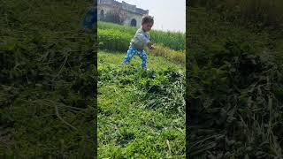 ਪੰਜਾਬ ਦੇ ਖੇਤਾਂ 'ਚ ਛੋਟਾ ਕਿਸਾਨ (Hass ke Jeewayenge) (Little Farmer in the Fields) Punjab