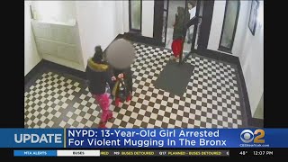 Teenage girl arrested in violent robbery