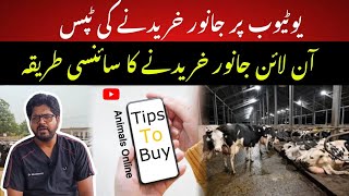 Tips to buy animals from YouTube II Online tips to buy animals II Dr. muzzammil Hassan