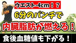 【食後でウエスト-4cm！🥊】6分間動くだけで,食事制限なしでも血糖値が下がり激やせする!! 天候、年齢に関係なく楽しく出来る🎵【ボクササイズ 有酸素運動 痩せるダンス】