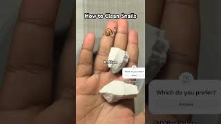 HOW TO CLEAN SNAIL | #youtubeshorts #food #30daychallenge #foodie #recipe #snail #fyp