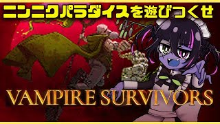 ニンニクパラダイス！？？？【VampireSurvivors】