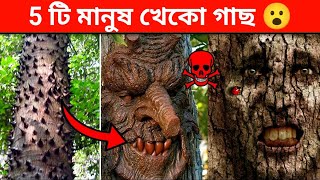 আমাজন জঙ্গলের সবথেকে ভয়ানক মানুষ খেকো গাছ | Top 5 Most Dangerous Tree Of Amazon Jungle  In Bengali