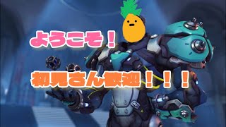 【OW2】発狂系配信者のTOP500道