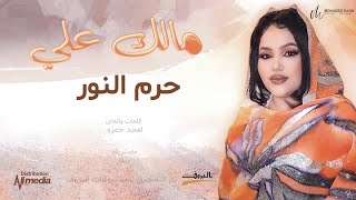 حرم النور - مالك علي || New 2022 || حفلات سودانية 2022