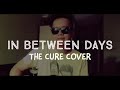 In Between Days - Acoustic Cover - Chris Mercado