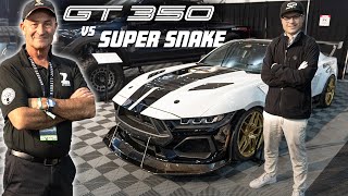 2025 Shelby GT350 vs GT350R vs Super Snake: Review \u0026 Interview w/ Shelby President