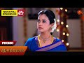 Next Week in Anandha Ragam - Promo | 30 Sep 2024  | Tamil Serial | Sun TV