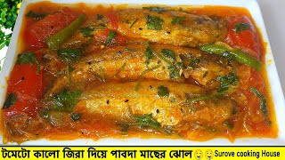 পাবদা মাছের রেসিপি।পাবদা মাছ ভুনা।pabda macher recipe।pabda fish curry