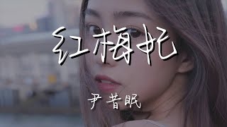 尹昔眠 - 紅梅妃『牆角紅梅 捻一朵納爲妃』【動態歌詞Lyrics】