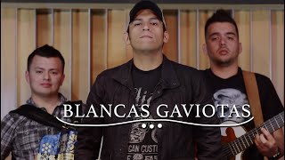 Blancas Gaviotas- Elías Medina