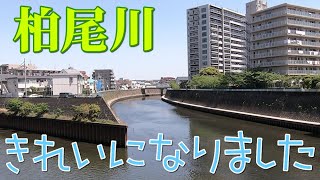 柏尾川修繕工事（藤沢市域内、川名から弥勒寺辺り）の様子とその付近の風景　藤沢市川名、弥勒寺、小塚　2021年3月上旬～4月上旬に撮影