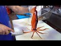 Various  Seafood that Koreans love!(Squid, spoon worm etc.) TOP7 video Compliation /KoreanStreetFood