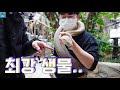 국민이 거대 뱀 만지다가 그만 ㅠㅠ 말이야는 새가 머리를... 도대체 무슨일이 동물원 오산버드파크 흔한 가족 일상 아이랑 국민이 24시간 ㅋㅋㅋ 말이야와친구들