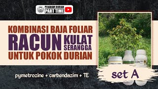 Kombinasi Campuran Racun Kulat Dan Racun Serangga Set A