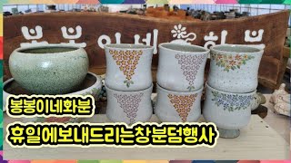 11월13일♡봉봉이네화분♡수제다육화분♡멋진창분 덤 행사입니다~5만이상택배무료