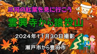 紅葉綺麗　雲興寺から猿投山ハイキング　ナオユミのハイキングに行こう