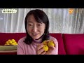 冬至は柚子湯に入ろう！ヒーリングフード的養生法＜organic life＞