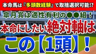 皐月賞2021【絶対軸1頭】公開！表面上の実績を過大評価するべからず！？経験値で人気馬を上回る絶対軸はアノ馬！