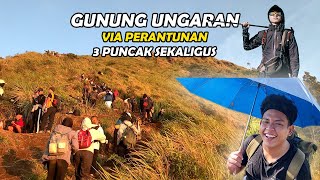 TEKTOK GUNUNG UNGARAN VIA PERANTUNAN, CAMPING DI BASECAMP