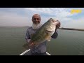 Bass Fishing at Koster Dam with Jerkbaits