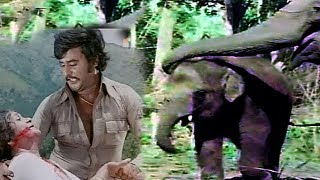 Mother Elephant Save Littel Elephant Scene  | Annai Oru Aalayam Tamil Movie