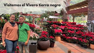 IMPRESSIVE NURSERY IN COLOMBIA | discover black earth