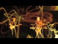 Code Indigo The MELTdown Concert DVD extract 2