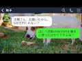 【line】私が5年間で貯めた挙式費用600万を勝手に使った義姉「家族になったし通帳も共有よｗ高級車買ったから」→私「私の通帳じゃないですよ？」→地獄の展開にwww