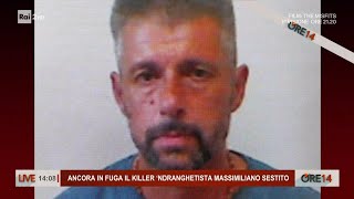 Ancora in fuga il killer 'Ndranghetista Massimiliano Sestito - Ore 14 del 02/02/2023