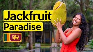 The Most Unique Hotel in Udawalawe Sri Lanka. A Jackfruit lovers Paradise!