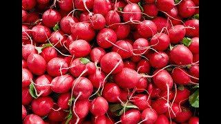 Radishes 101 - Food and Flavor Combos Using Radishes