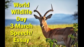 World Wildlife Day Speech/ Essay Speech on Wildlife Day 3 March