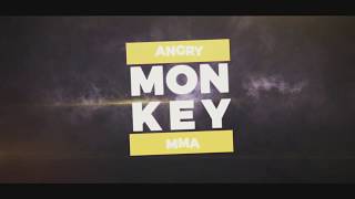 Angry Monkey MMA , 5139 De Verdun