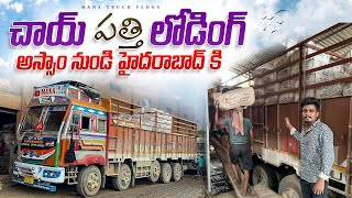 చాయ్ పత్తి లోడింగ్☕️ అస్సాం నుండి హైదరాబాద్ కి 🚛