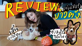 Review เจ้าข้าวตังตัวแสบ เลี้ยงยังไง ทำอะไรได้บ้าง!? | KaoSupassara