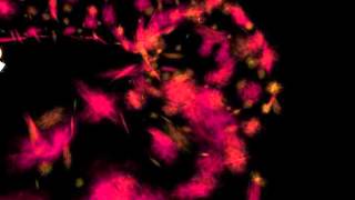 jMonkey-Emitter.YRot