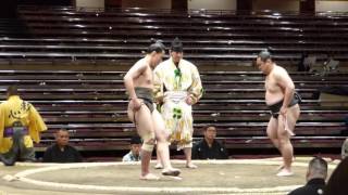 Sekizuka (1-0) - Momochizakura (0-1) , Sumo : Natsubasho '16